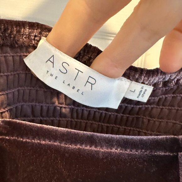 AST The Label Brown Velvet Smocked Corset Top Size L - Picture 3 of 4